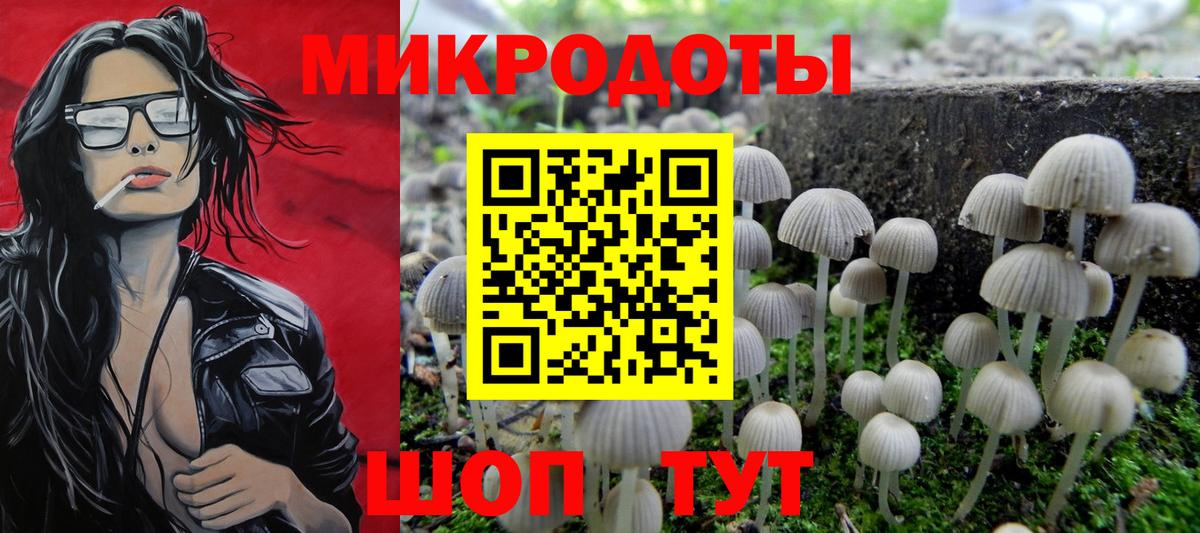 Зима  Галлюциногенные грибы мицелий  Вход с VPN 