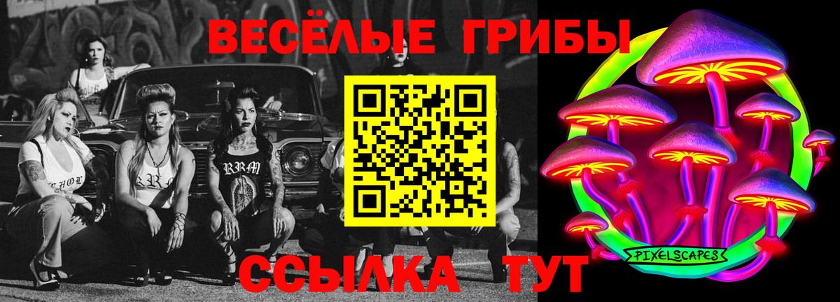 Галлюциногенные грибы Cubensis Зима